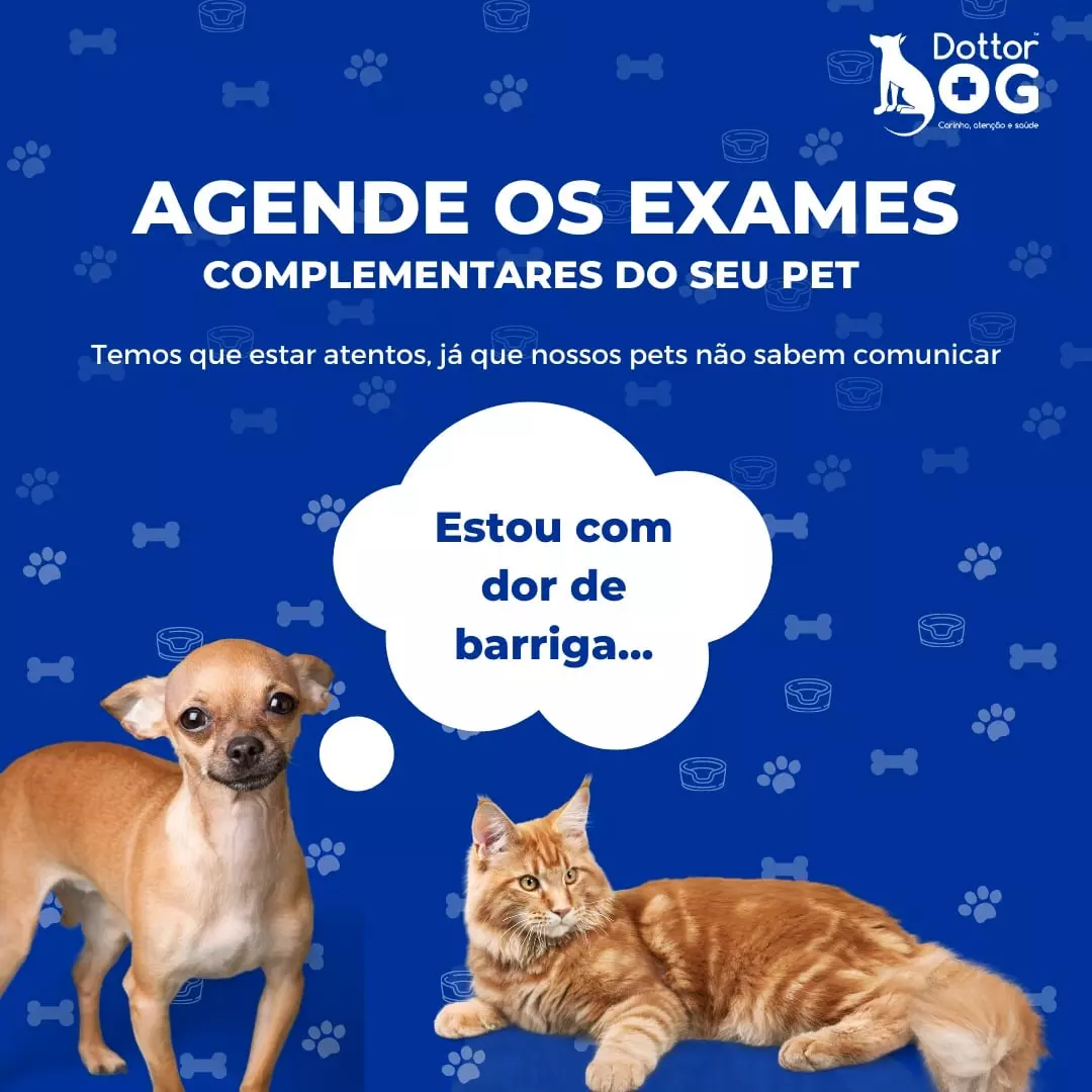 COMO OS EXAMES COMPLEMENTARES AUXILIAM A MEDICINA VETERINÁRIA